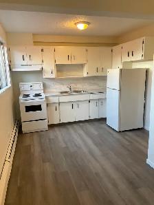 RENOVATED bright basement level bachelor. QUIET building. Ideal