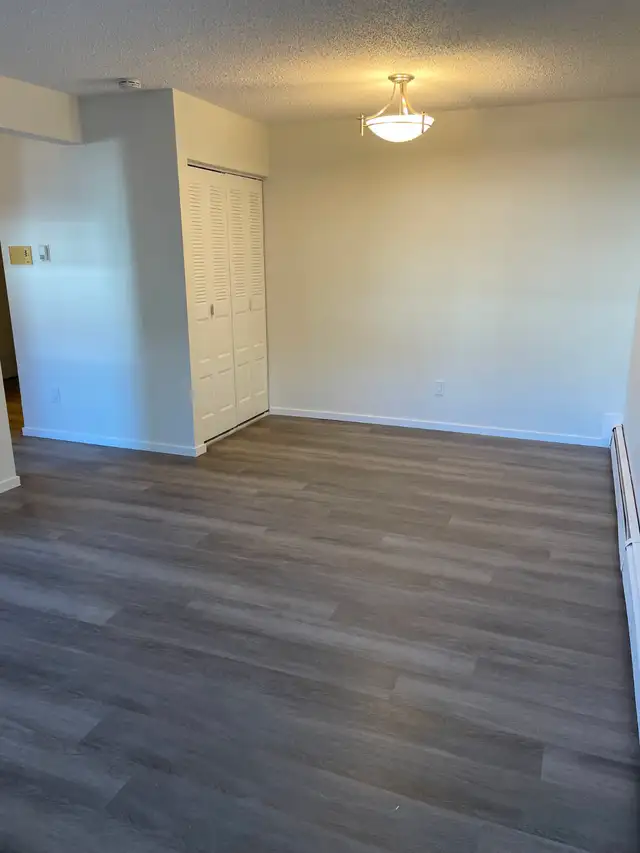 RENOVATED bright basement level bachelor. QUIET building. Ideal - Photo 2