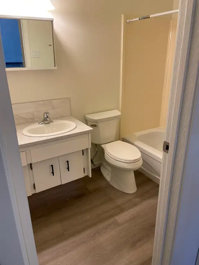 RENOVATED bright basement level bachelor. QUIET building. Ideal - Photo 3