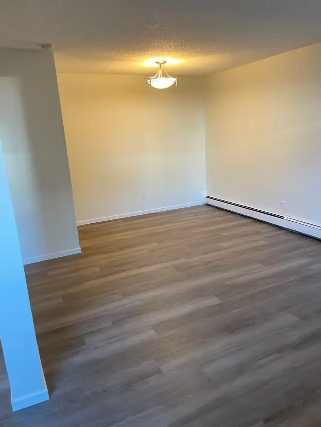 RENOVATED bright basement level bachelor. QUIET building. Ideal - Photo 4