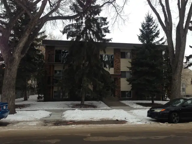 RENOVATED bright basement level bachelor. QUIET building. Ideal - Photo 6