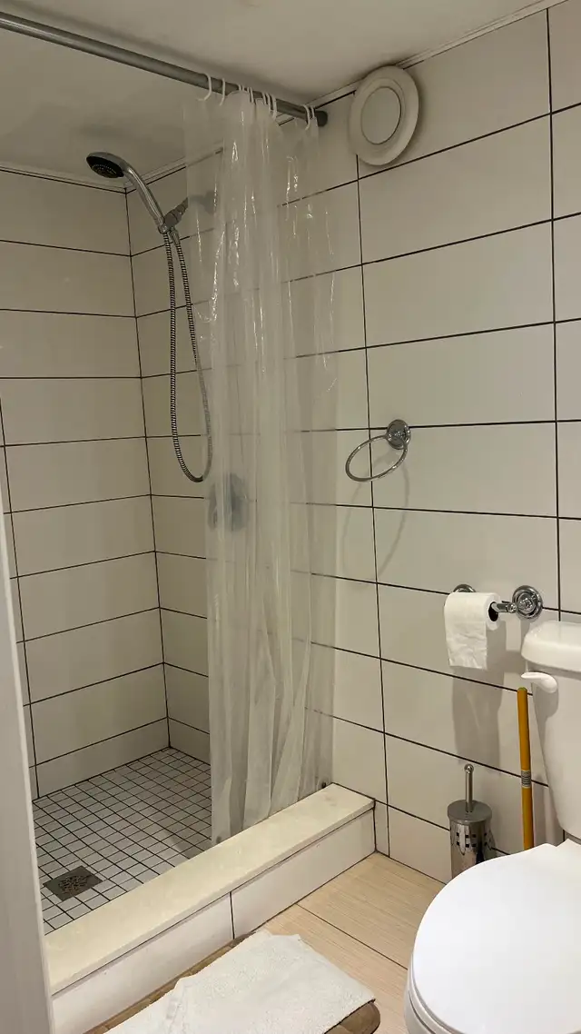 2B/2b renovated basm apt  DT Toronto Dundas &  Shaw all include - Photo 8