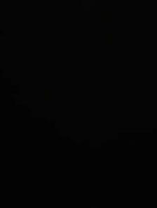 Babysitter /Childcare