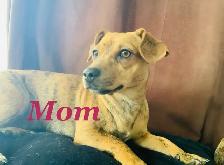 Ready To Go Cheagles - Photo 5