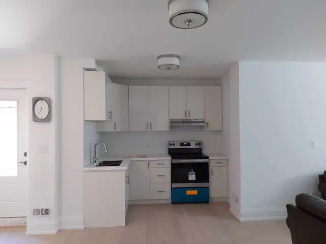 RENT 1 Bedroom, fully furnished 1300 sft. Basement $1,700 - Photo 5