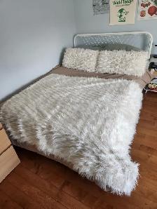 Furry Blanket and 2 Pillow Set