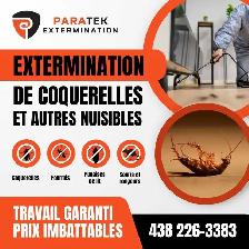 Exterminateur coquerelles Local Laval