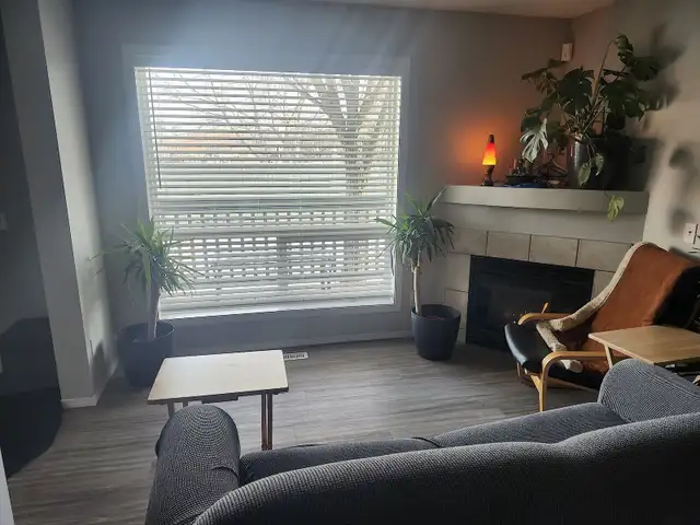 Large Room in Beautiful Central Townhouse, all utilities includ - Photo 5