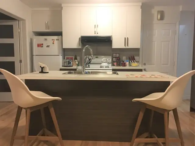 Superbe 4 ½ lumineux – À 5 minutes du métro Charlevoix - Photo 11