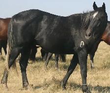 All around prospect. Just the right amount of working with speed