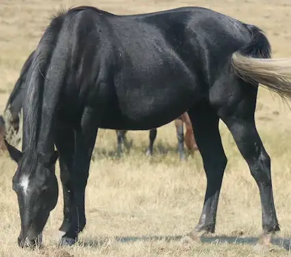 All around prospect. Just the right amount of working with speed - Photo 2