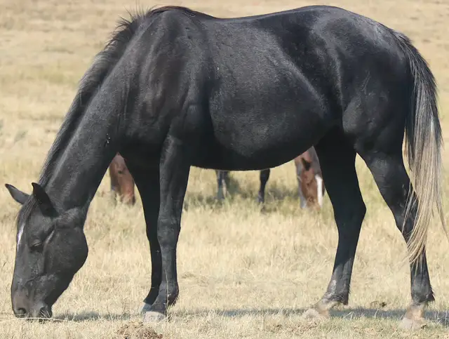 All around prospect. Just the right amount of working with speed - Photo 3