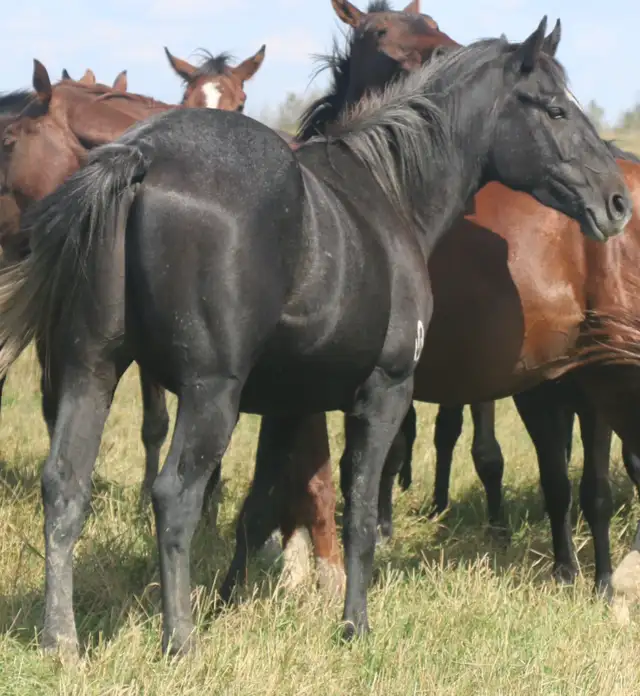 All around prospect. Just the right amount of working with speed - Photo 4