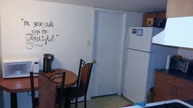 2 bedroom 1 bath basement unit near Conestoga college - Photo 5