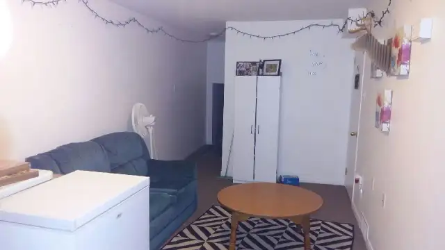 2 bedroom 1 bath basement unit near Conestoga college - Photo 8
