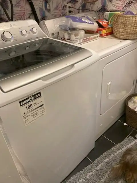 Basement Apartment for Rent on Hamilton Mountain - Photo 8