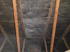Black Mold Taking Over Your Attic?