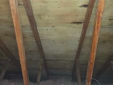 Black Mold Taking Over Your Attic? - Photo 2