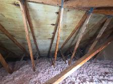 Black Mold Taking Over Your Attic? - Photo 4