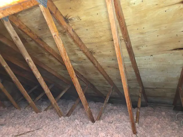 Black Mold Taking Over Your Attic? - Photo 6