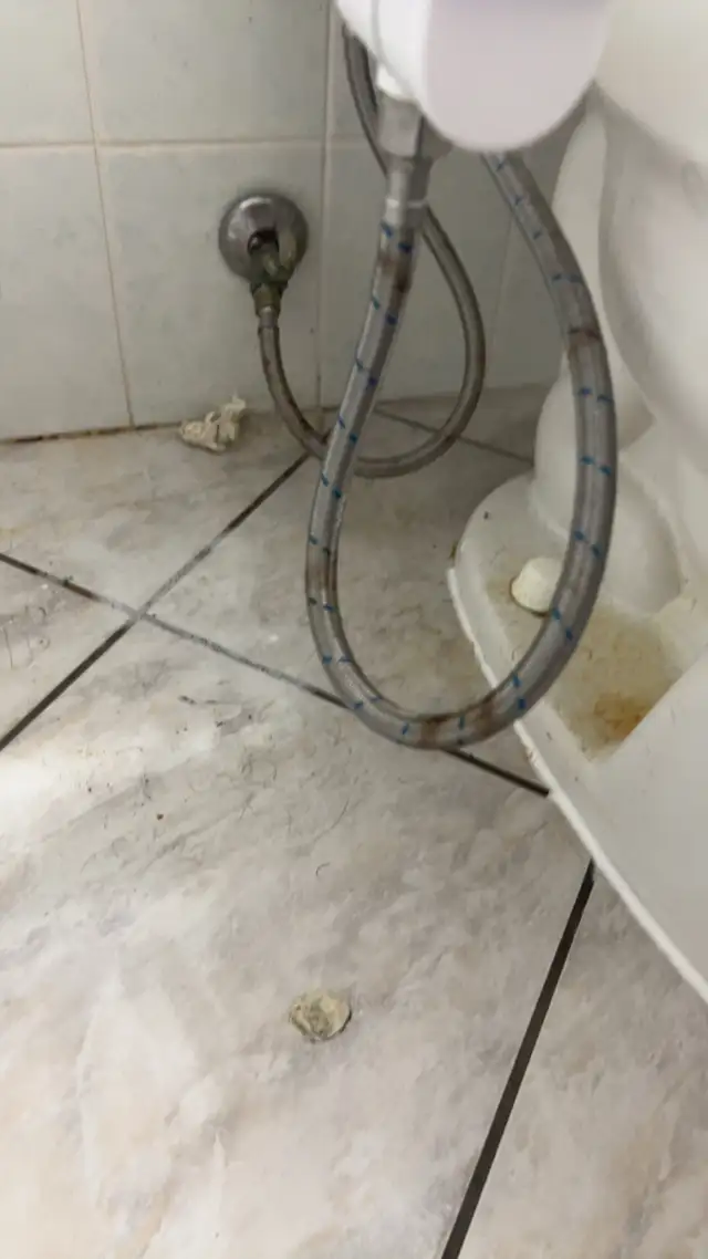 Simply Spotless housekeeper - Photo 3