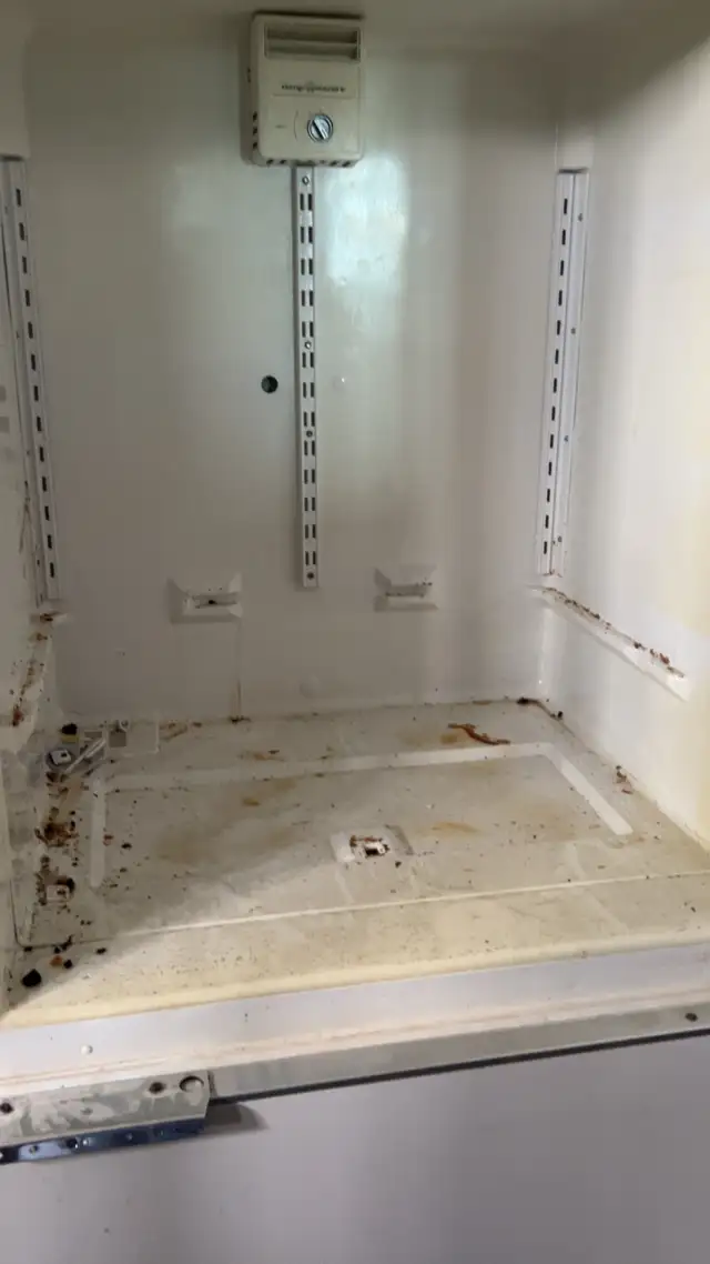 Simply Spotless housekeeper - Photo 5