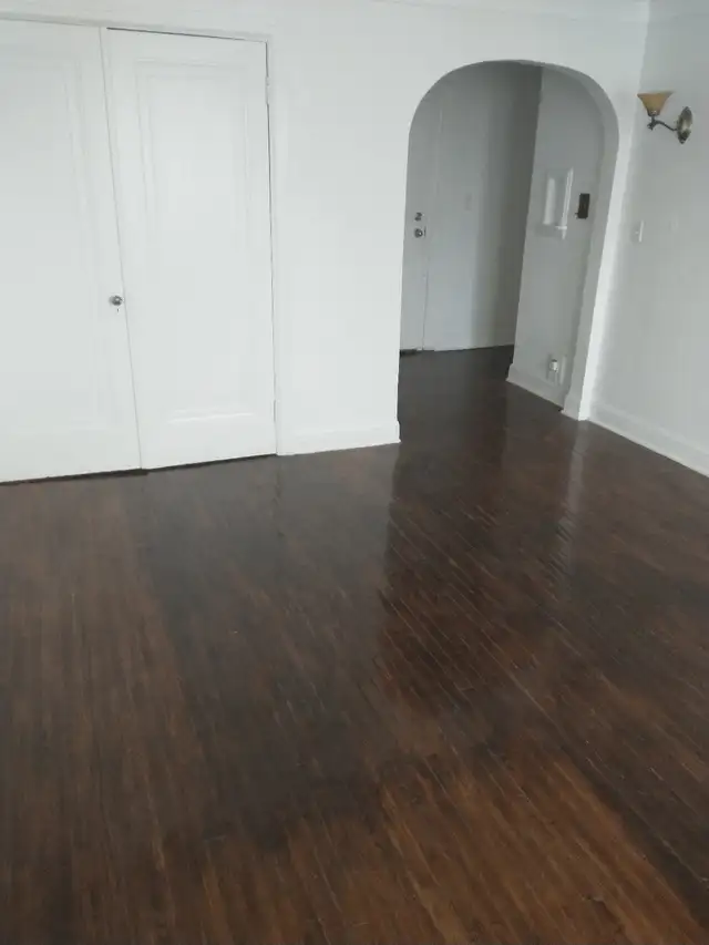 $1200 Large 1 bedroom apt. Jackson Park. Incl. Heat/Water. - Photo 3