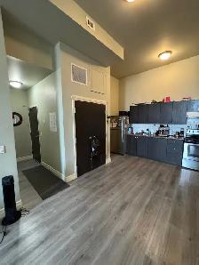 Gorgeous one bedroom apartment in Woodstock