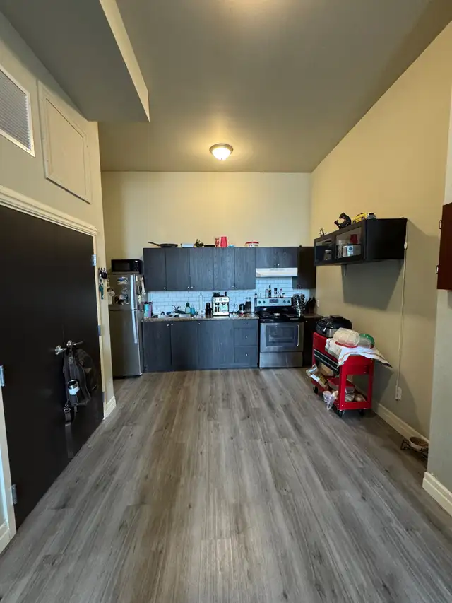 Gorgeous one bedroom apartment in Woodstock - Photo 2