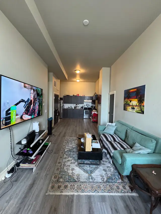 Gorgeous one bedroom apartment in Woodstock - Photo 4