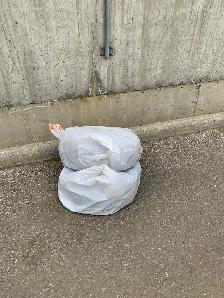 Honda Accord 2003 for sale - Photo 10