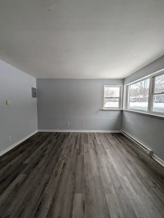 Large Updated Pet Friendly 2-Bedroom Apartment in London