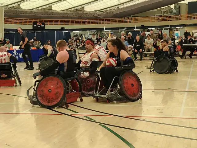 Are you big and strong? Looking for you - Photo 2