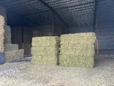 $100 a bale - Photo 2