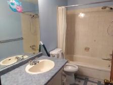 Edgemont NW upstairs/basement 2room 2bath incl utility EZtransit - Photo 8