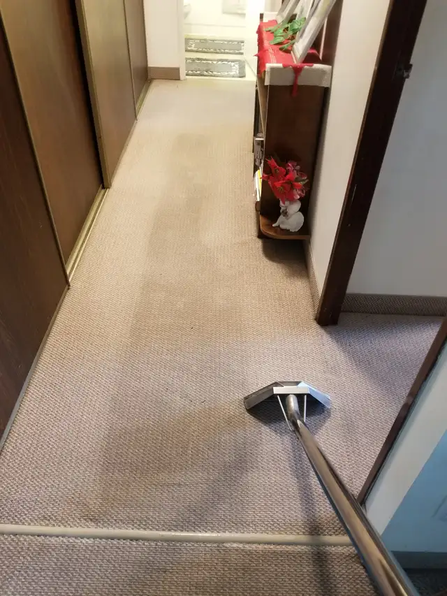 Sofa Deep Clean&Steam (All Fabric Types)