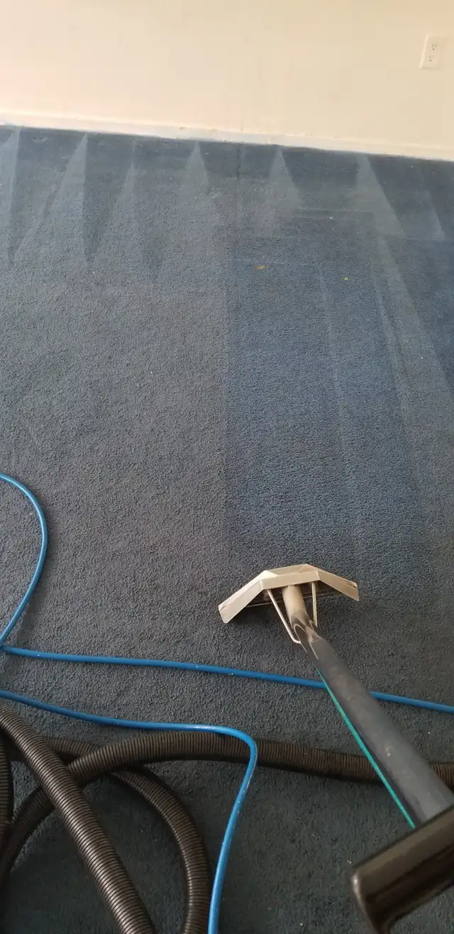 Sofa Deep Clean&Steam (All Fabric Types) - Photo 2