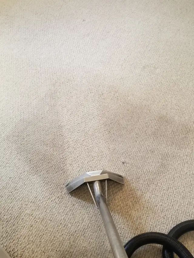 Sofa Deep Clean&Steam (All Fabric Types) - Photo 5