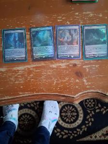 MTG - Zendikar expeditions