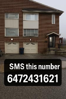 2 Bedroom Basement Apartment – $1,600 All Inclusive –