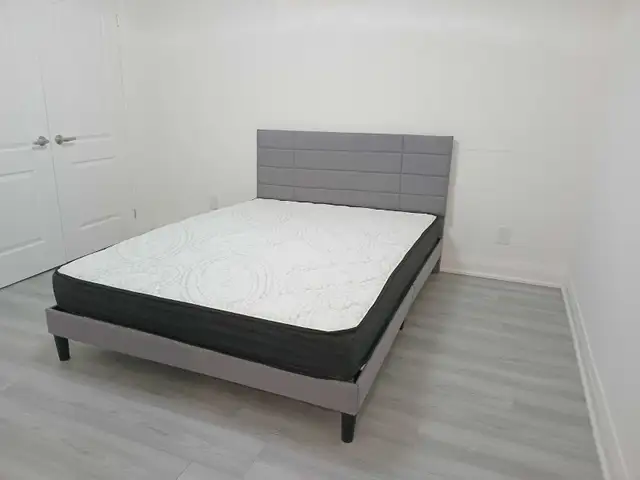 Newly Renovated, Immaculate Basement Apartment For Rent - Photo 3