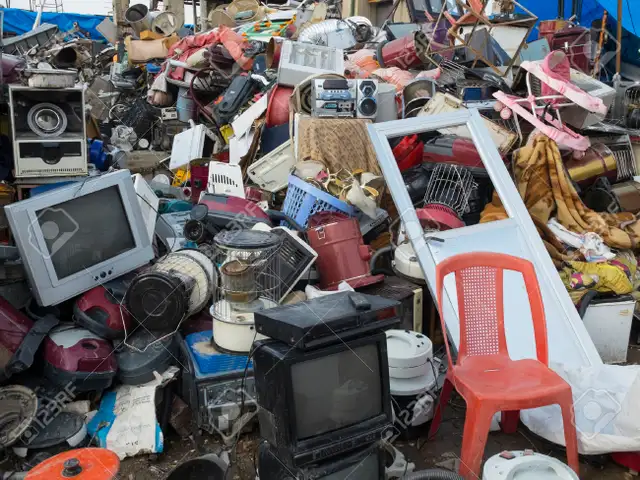 GARBAGE JUNK DISPOSAL