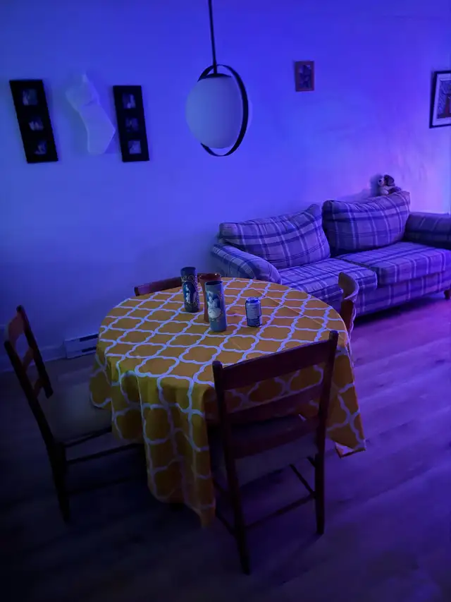 appartement de chambre à louer - Photo 2