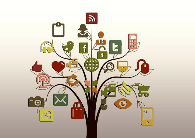 Marketing Online - Digital Management