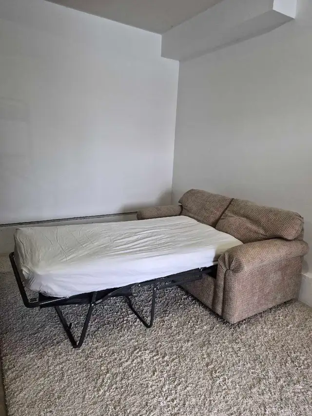 FREE DELIVERY Compact and Cozy 2 Seater Pullout Sofabed/Loveseat - Photo 6