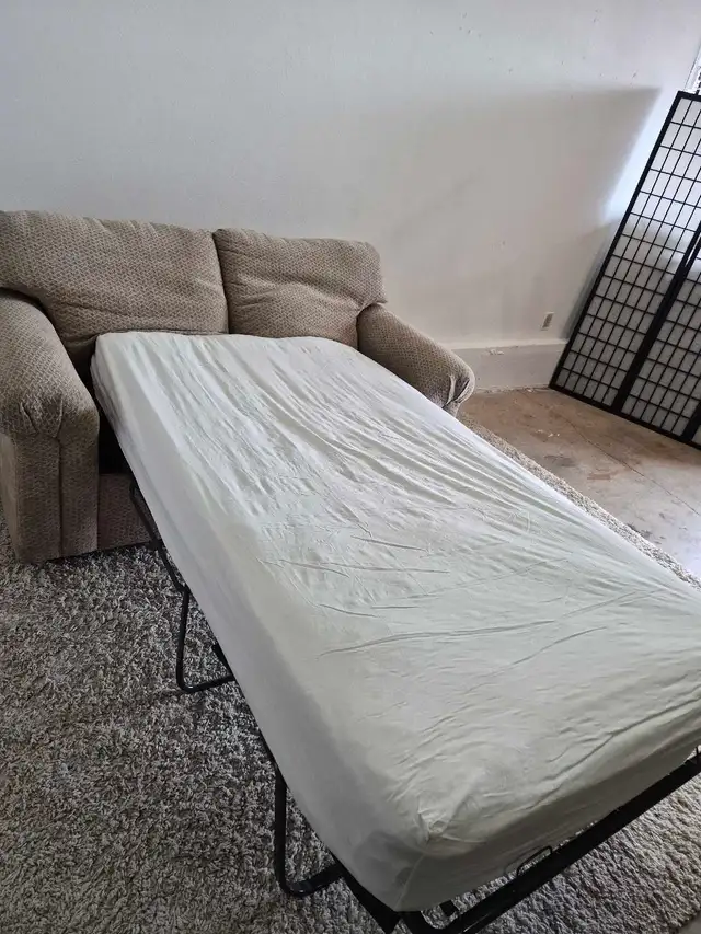 FREE DELIVERY Compact and Cozy 2 Seater Pullout Sofabed/Loveseat - Photo 8