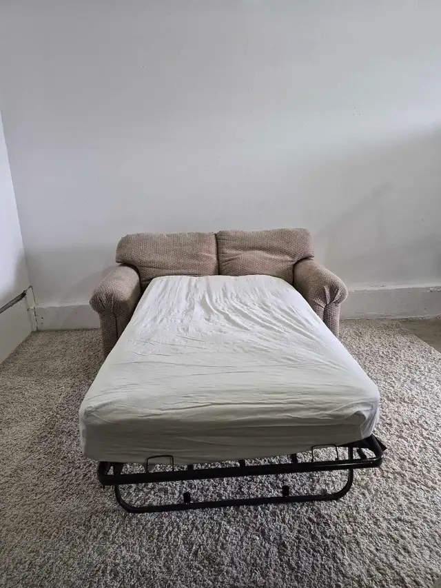 FREE DELIVERY Compact and Cozy 2 Seater Pullout Sofabed/Loveseat - Photo 9