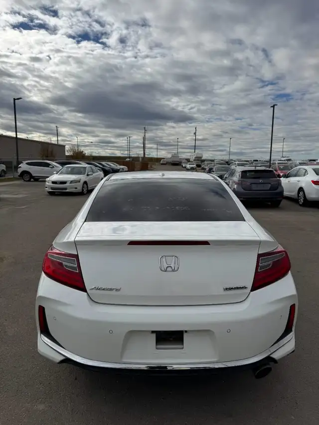 2016 Honda Accord Coupe EX-L :: TOURING FULLY LOADED - Photo 5