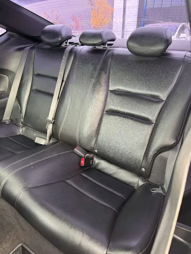 2016 Honda Accord Coupe EX-L :: TOURING FULLY LOADED - Photo 8