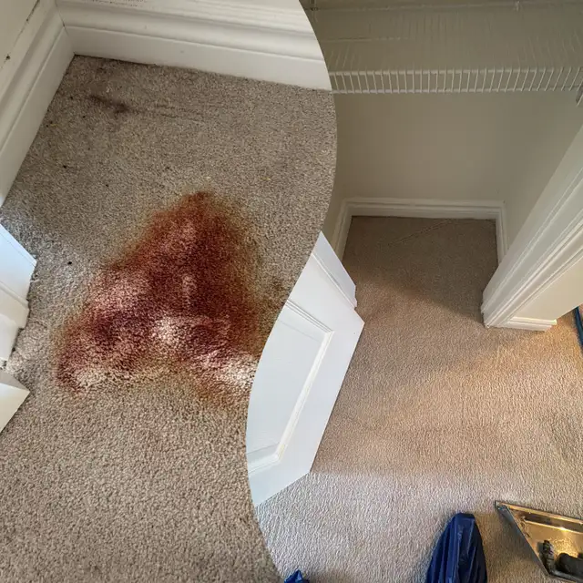 carpet, sofa, tiles and mattresses cleaning - Photo 9